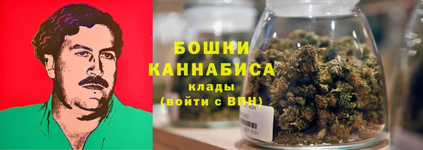 ешки Пересвет